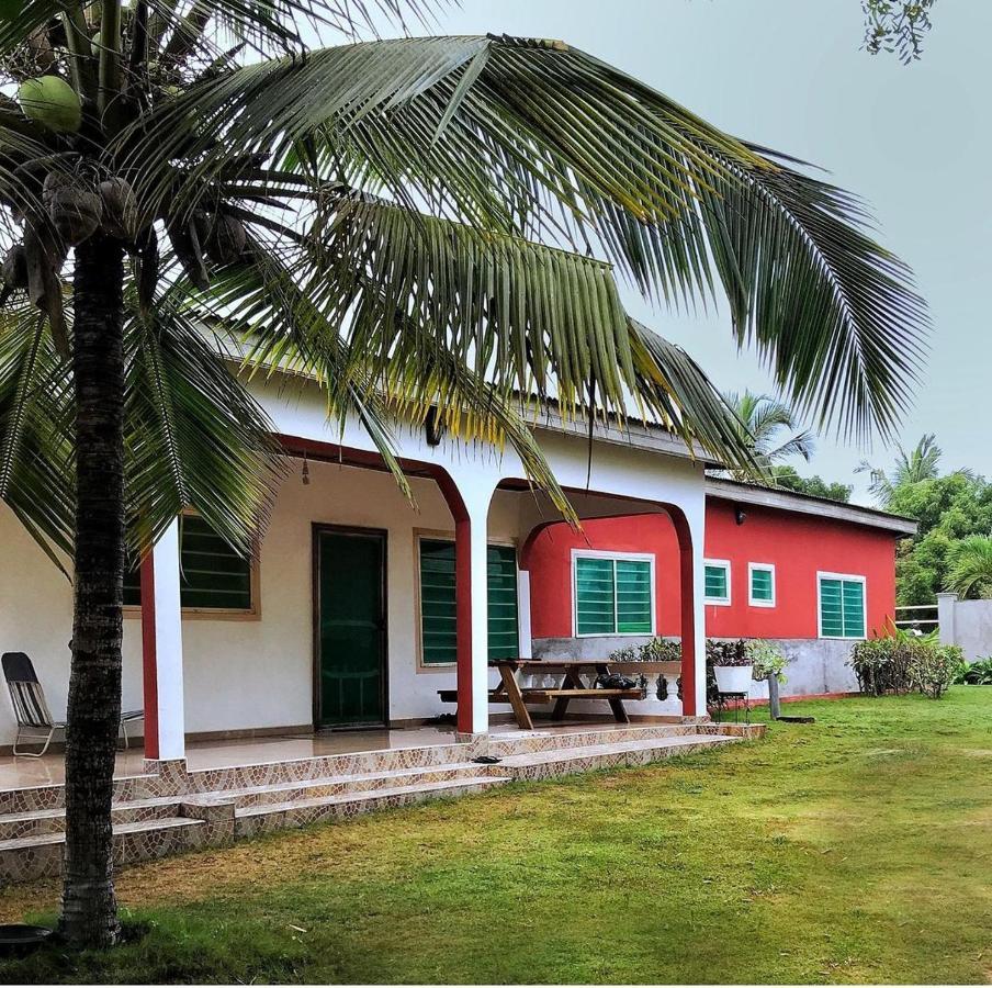 Twitter Paradise Ampeni Exterior photo