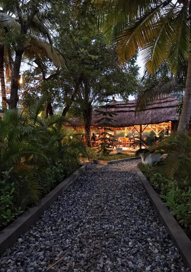 Twitter Paradise Ampeni Exterior photo
