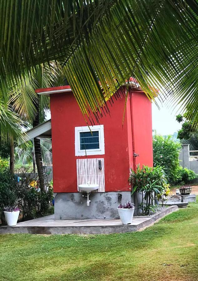 Twitter Paradise Ampeni Exterior photo