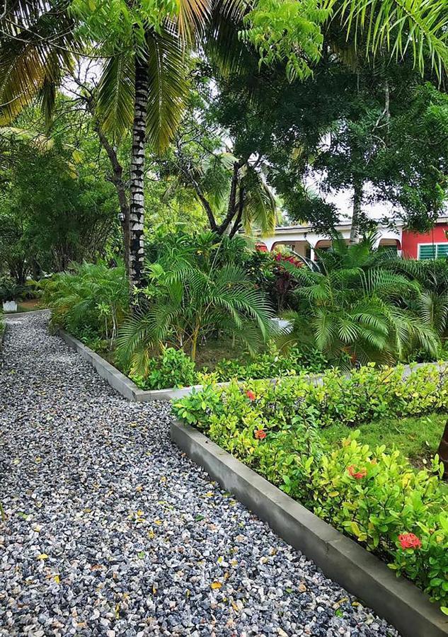 Twitter Paradise Ampeni Exterior photo