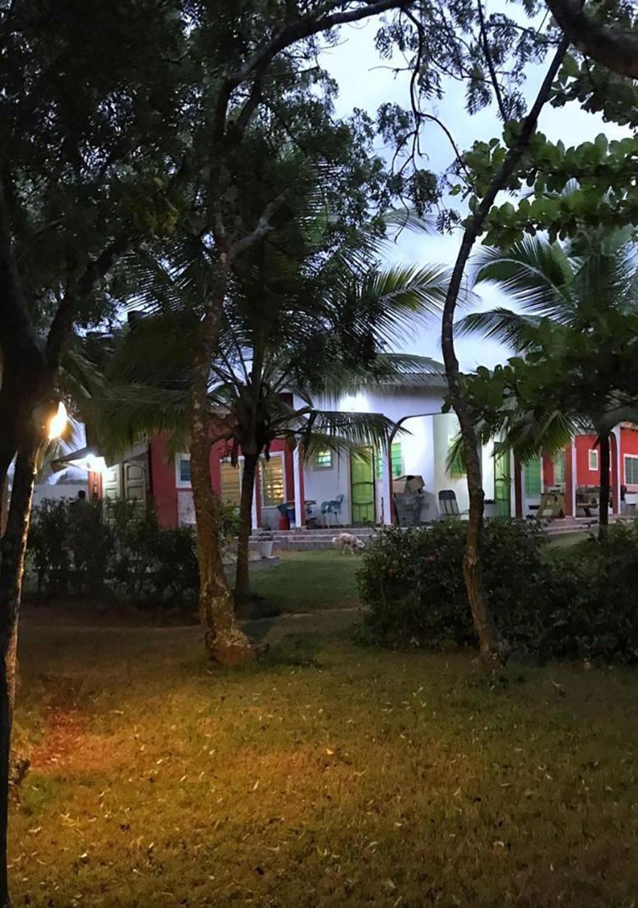 Twitter Paradise Ampeni Exterior photo