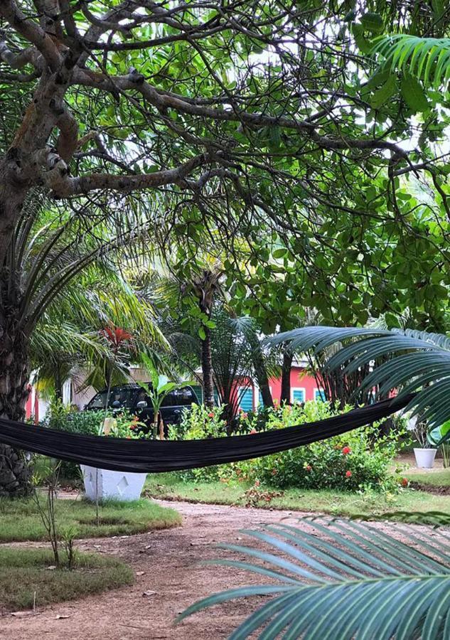 Twitter Paradise Ampeni Exterior photo