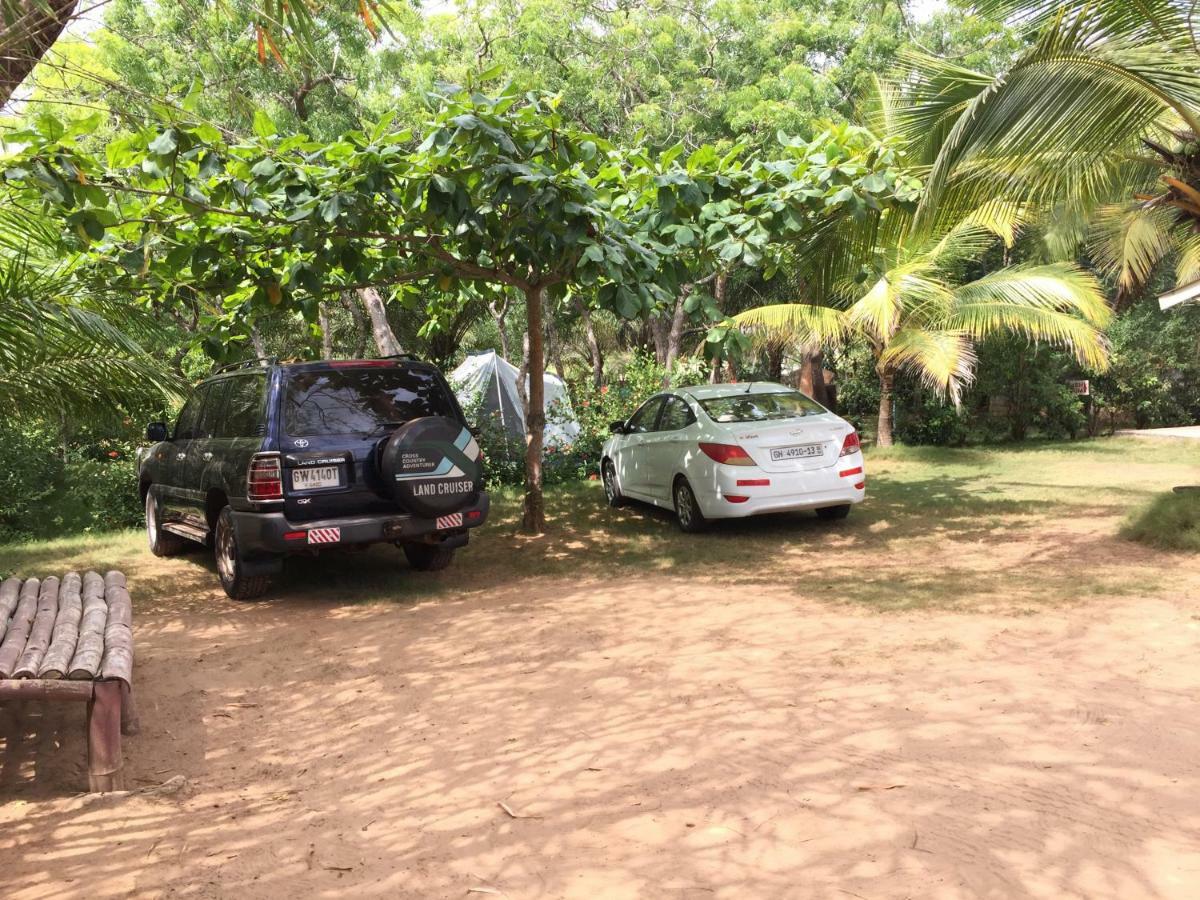 Twitter Paradise Ampeni Exterior photo