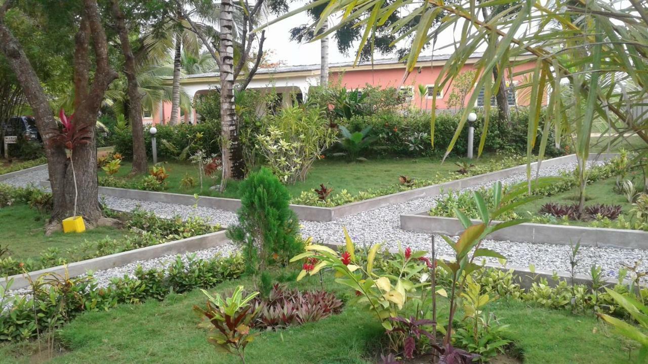 Twitter Paradise Ampeni Exterior photo